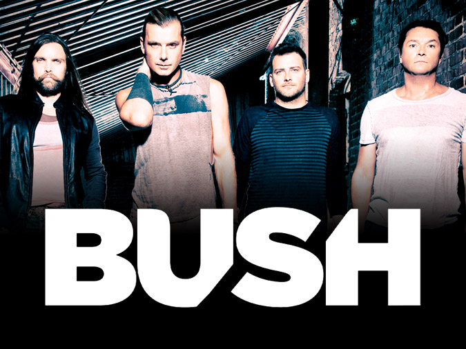 Bush