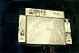 Jam99_Sutton_Skynyrd03.GIF (1970 bytes)